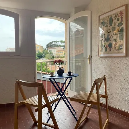 Maison De Village Sur Les Mimosas
