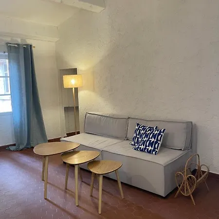 Maison De Village Sur Les Mimosas Holiday home