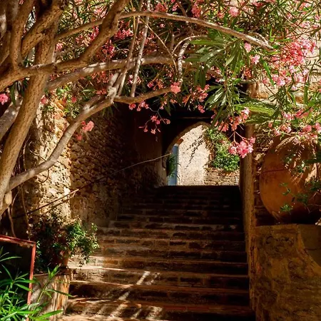 Maison De Village Sur Les Mimosas *